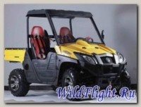 Квадроцикл Applestone UTV 800