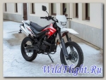 Мотоцикл Bison Motard 250