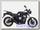 Мотоцикл Desert Raven NEVADA 250I