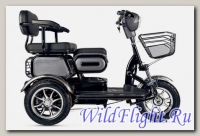 Пассажирский трицикл Rutrike S2 V3