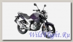 Мотоцикл Yamaha Fazer 250