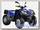 Квадроцикл ADLY STANDARD ATV320U 4x4