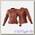 Куртка SHIMA MONACO brown