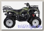 Квадроцикл WELS ATV PURGA 170