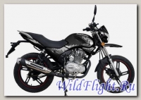 Мотоцикл Regulmoto (Senke) SK200-9