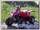 Квадроцикл детский POLAR FOX ATV50