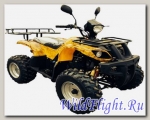 Квадроцикл Bison ATV 200 MX 10