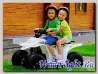 Детский электроквадроцикл Baltmotors Mini E-Power