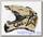Шлем AFX FX-41 DS MARPAT CAMO