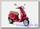 Наклейки VESPA PRIMAVERA - ELEGANCE (Серо-золотистые)