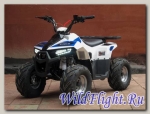 Квадроцикл Bison ATV 110 EAGLE NEW