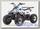 Квадроцикл Motoland EAGLE 110
