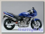 Мотоцикл Honda Hornet CB600F2