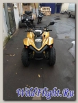 Stels ATV 100 RS Gold Edition