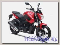 Мотоцикл Regulmoto (Senke) SK250 X-6