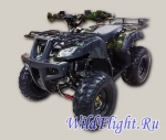 Квадроцикл WELS ATV THUNDER 200