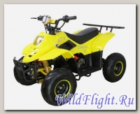 Электроквадроцикл ATV Classic 6E (600W)