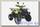 Квадроцикл Bison ATV 150 Maverick 2017