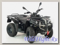 Квадроцикл Access BR400 4WD black