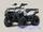 Квадроцикл Kawasaki Brute Force 300 2019