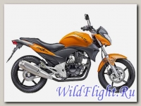 Мотоцикл Stels FLEX 250