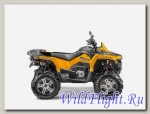 Квадроцикл STELS ATV 650 GUEPARD ST