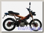 Мотоцикл MadAss 160RE