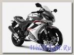 Мотоцикл OMAKS MOTRAC R11 JJ250