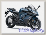 Мотоцикл Kawasaki Z1000 SX 2019