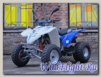 Квадроцикл ADLY ATV-300 Sport