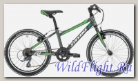 Велосипед Stevens Kid Sport 20 Anthracite Green (2015)